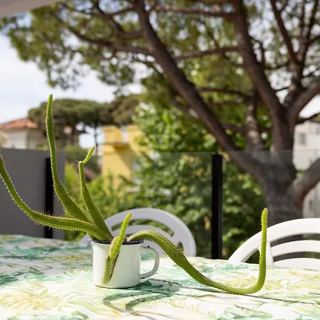 Appartamento Carinzia - Solo Il Mare Davanti Dal 1982 Riccione