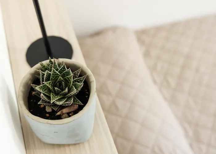 Carinzia Sea View 1982- Riviera Collection * Riccione