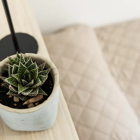 Riviera Collection - Carinzia Sea View * Riccione